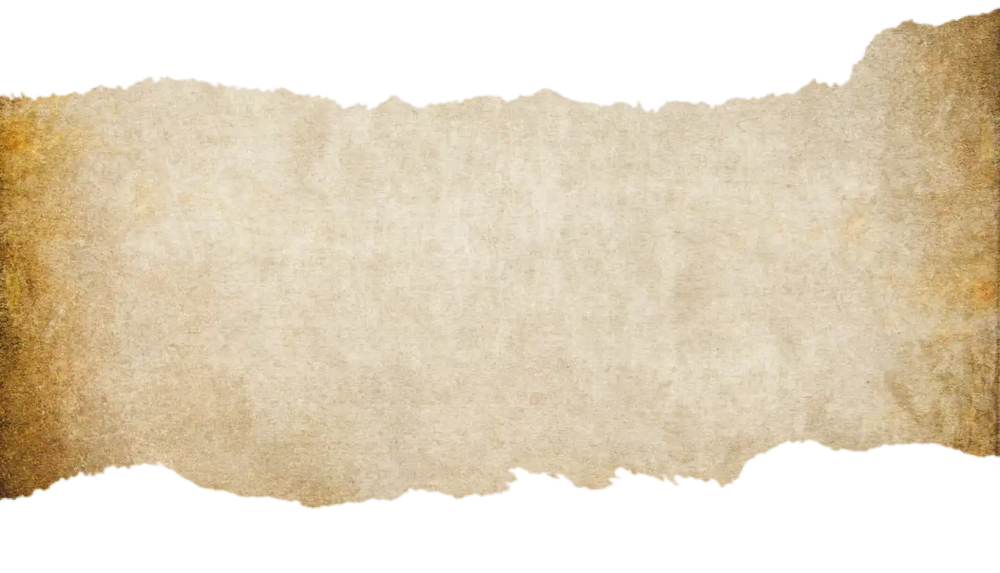 Service Hero texture